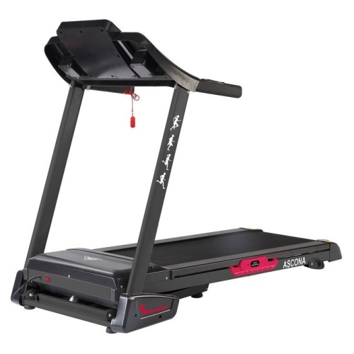 Электрическая беговая дорожка DFC Ascona T595