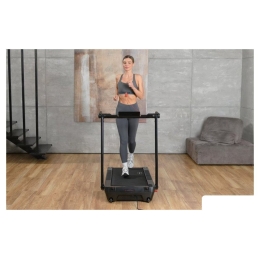 Электрическая беговая дорожка Orlauf Terra (черный) 10754741