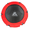 Батут DFC Jump Kids 55INCH-JD-RG