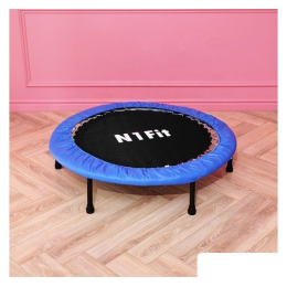 Батут DFC N1Fit JP07-C04-40 10859876