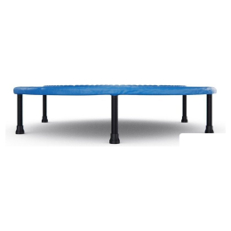 Батут DFC N1Fit JP07-C04-40 10859876