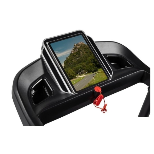 Электрическая беговая дорожка Alpin Glace T-176