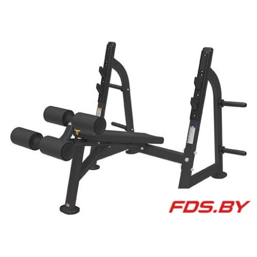 Силовая скамья BR-1013 Bronze Gym