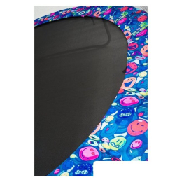 Батут Calviano Inside Master Smile 312 см - 10ft (внутренняя сетка, с лестницей) 9792454