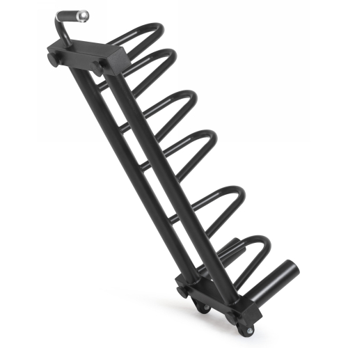 Стойка для дисков VictoryFit VF-D4013