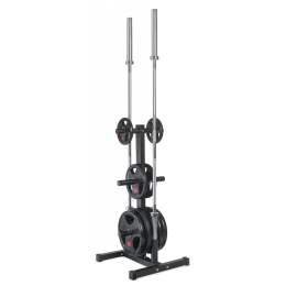Стойка для грифов и дисков (51 мм. ) VictoryFit VF-D4006