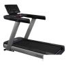 Электрическая беговая дорожка Bronze Gym T930M Pro