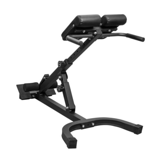 Гиперэкстензия Alpin Iron G-12