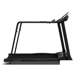 Электрическая беговая дорожка Family TM 250R 4699888