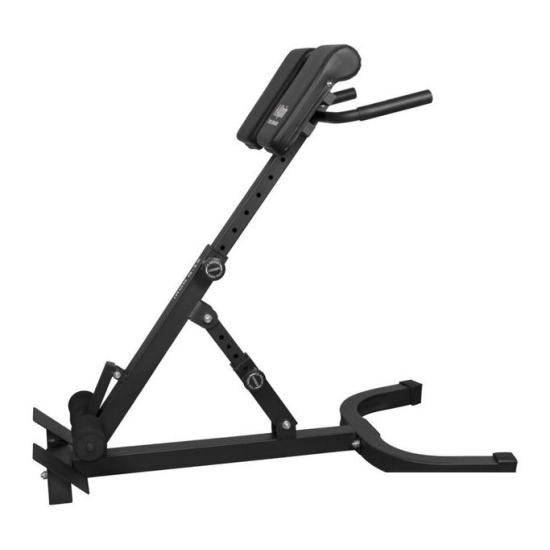 Гиперэкстензия Alpin Iron G-12