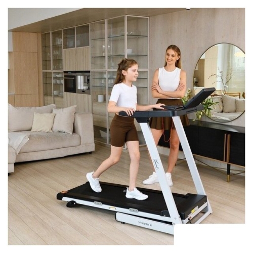 Электрическая беговая дорожка Orlauf Martin M (серый)