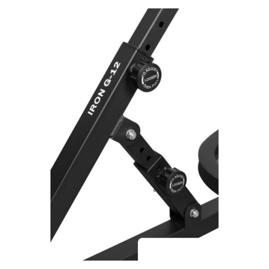 Гиперэкстензия Alpin Iron G-12