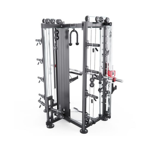 Мультистанция, машина Смита DFC Gorilla Sport 822