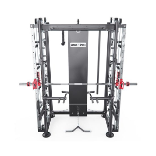 Мультистанция, машина Смита DFC Gorilla Sport 822