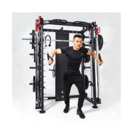 Мультистанция, машина Смита DFC Gorilla Sport 822