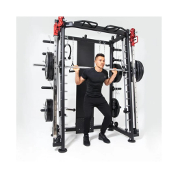 Мультистанция, машина Смита DFC Gorilla Sport 822