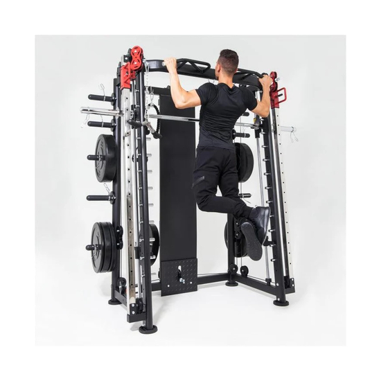 Мультистанция, машина Смита DFC Gorilla Sport 822