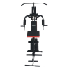Мультистанция VictoryFit VF-H7001