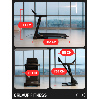 Беговая дорожка Orlauf Sparrow