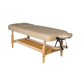 Массажный стационарный стол DFC SUPERIOR2 TS200/2 с регулировкой для спины/ног
