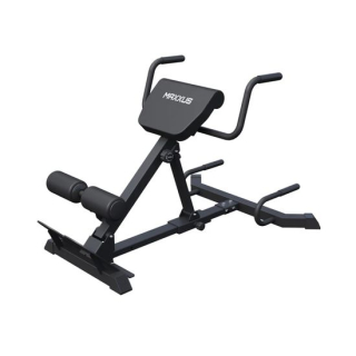 Гиперэкстензия / римский стул MAXXUS GSMX-6