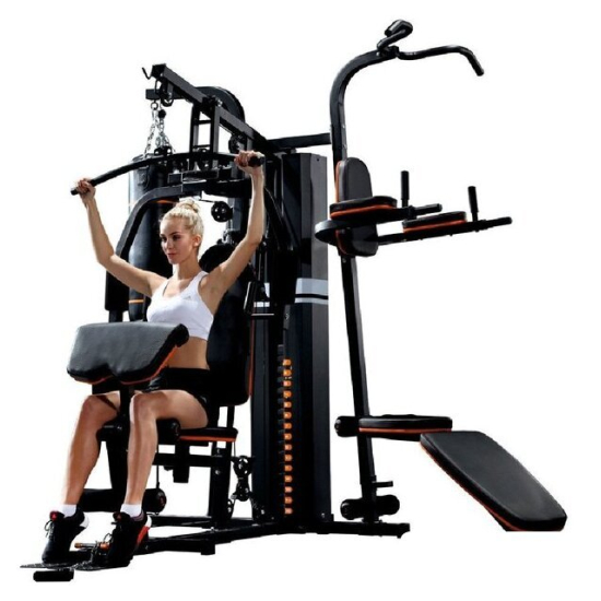 Силовой комплекс Altezani GYM 001