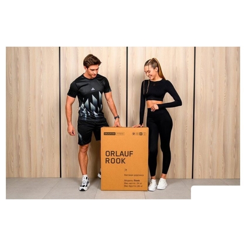 Электрическая беговая дорожка Orlauf Rook (черный)