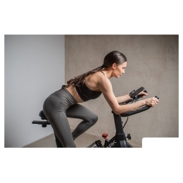 Велотренажер Orlauf Lark (черный) 10754734