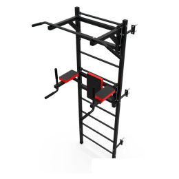 Шведская стенка (лестница) DFC D-123 8984089