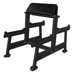 Скамья Скотта UltraGym UG-CL103 9382051