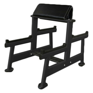 Скамья Скотта UltraGym UG-CL103 9382051