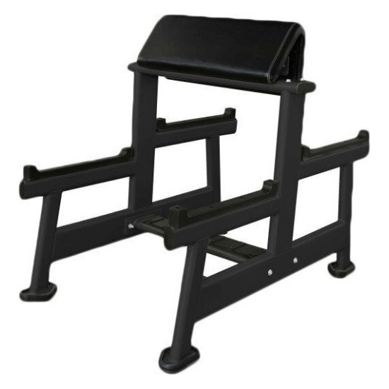 Скамья Скотта UltraGym UG-CL103
