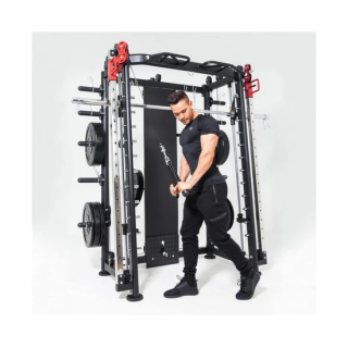 Мультистанция, машина Смита DFC Gorilla Sport 822
