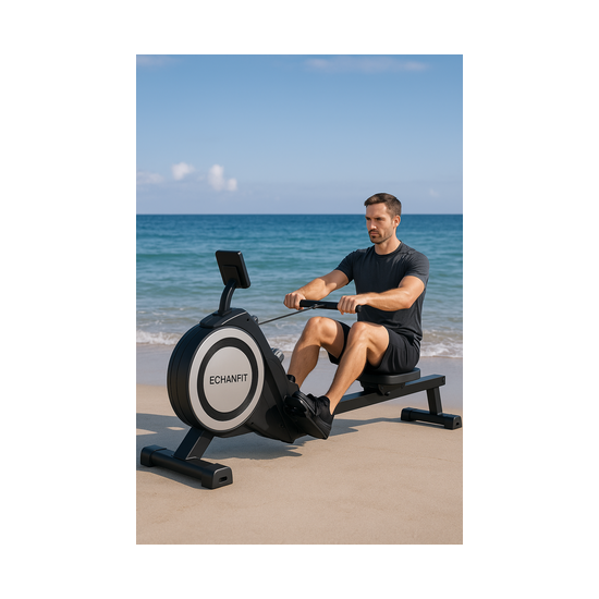 Гребной тренажер DFC ECHANFIT, складной