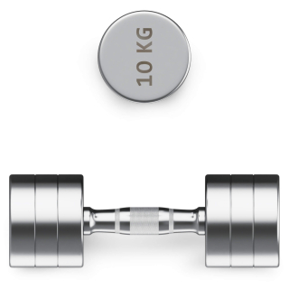 Гантель UNIX Fit PRO круглая хромированная 10 кг, 2 шт.