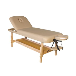 Массажный стационарный стол DFC SUPERIOR2 TS200/2 с регулировкой для спины/ног