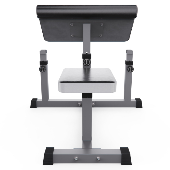 Скамья Скотта DFC Homegym AY001