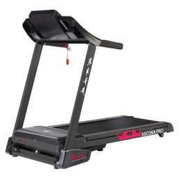 Электрическая беговая дорожка DFC Ascona Pro T640 3749303