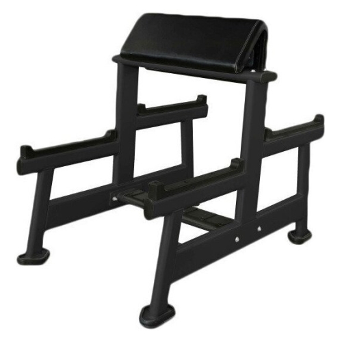 Скамья Скотта UltraGym UG-CL103