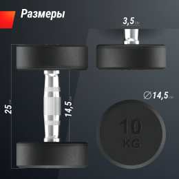 Гантель UNIX Fit PRO круглая обрезиненная 10 кг, 2 шт.