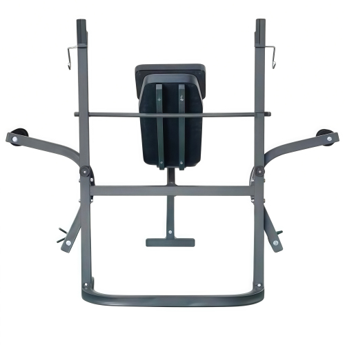 Скамья со стойками под штангу с опциями DFC D125