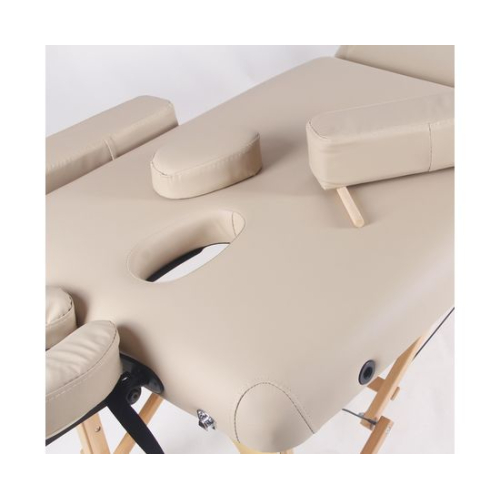 Массажный стол DFC PROFI2 TS212H складной