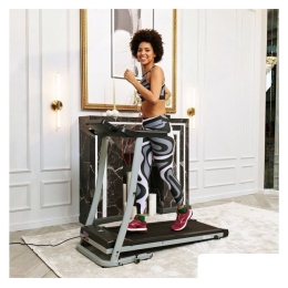 Электрическая беговая дорожка DFC Blues T-113 9213760