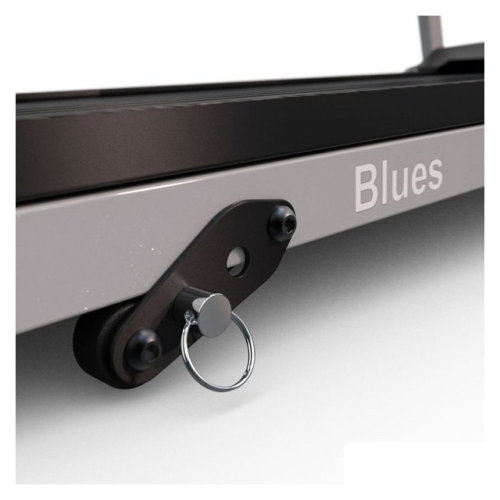 Электрическая беговая дорожка DFC Blues T-113