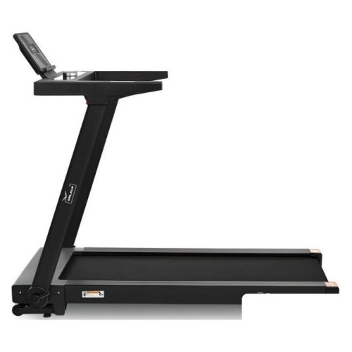 Электрическая беговая дорожка Orlauf Corvus (черный)