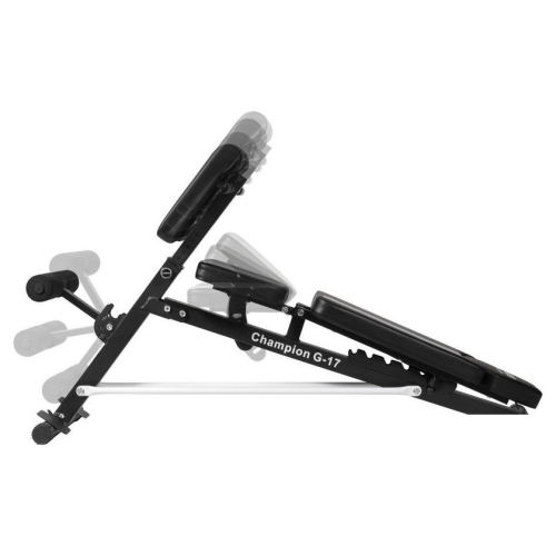 Силовая скамья Alpin Champion G-17