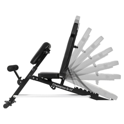 Силовая скамья Alpin Champion G-17