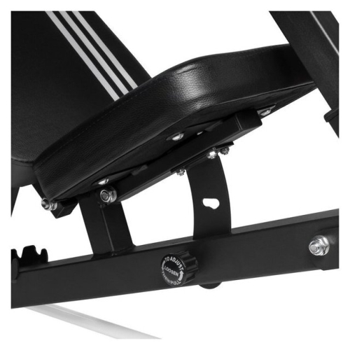 Силовая скамья Alpin Champion G-17