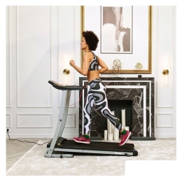 Электрическая беговая дорожка DFC Blues T-113 9213760