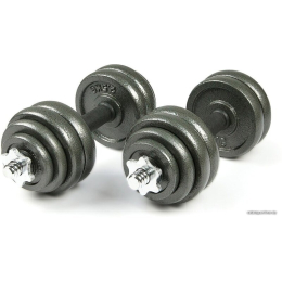 Набор гантелей Atlas Sport металлические в чемодане 30 кг (2x15 кг) 5030442